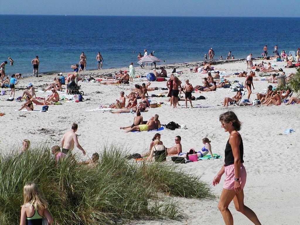 Nordskoven Strand Camping รอนเน ห้อง รูปภาพ